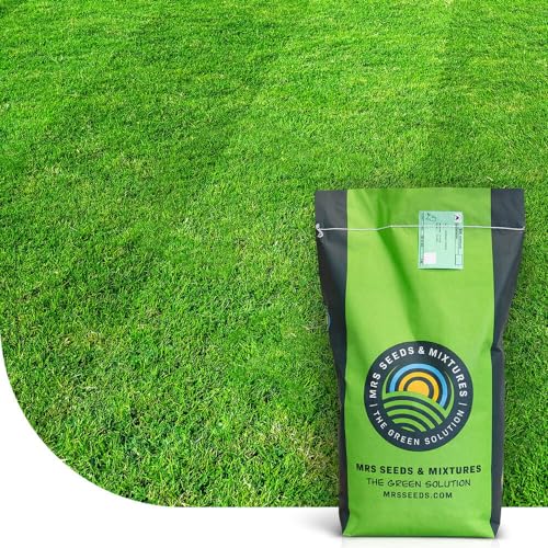 EasyMow: Langsam wachsender Grassamen | 2 Kilo - 100 m² | Sehr geringer Pflegeaufwand | Hohe Trockenheitstoleranz | Robo-Rasensamen: Geeignet für Mähroboter | Sattgrüner Traumrasen | MRS Seeds EasyMow: Langsam wachsender Grassamen | 2 Kilo - 100 m² | Sehr geringer Pflegeaufwand | Hohe Trockenheitstoleranz | Robo-Rasensamen: Geeignet für Mähroboter | Sattgrüner Traumrasen | MRS Seeds von MRS Seeds & Mixtures