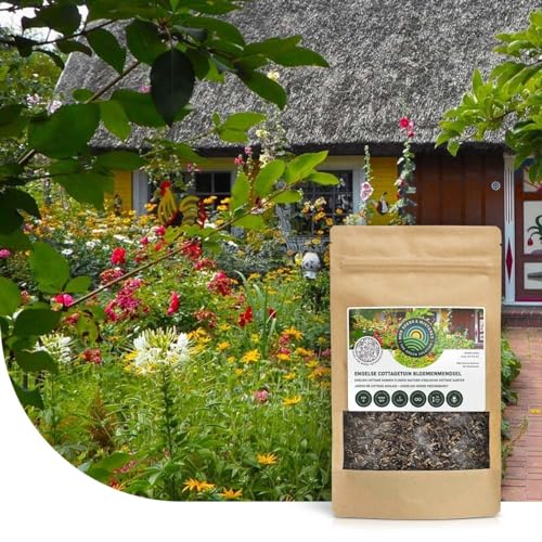 Englischer Cottage-Garten Blumenmischung | 50 g - 25 m2 | Blumenwiese samen einjährig und mehrjährig | 40 Wildblumenarten | Wuchshöhe: 15 bis 150 cm | Wildblumen-Samen für Bienen und Hummeln von MRS Seeds & Mixtures