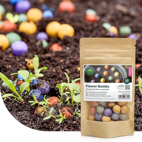 Flower Bombs: Samenbomben mix - 100x handgemachte und farbenfrohe ‘Seed Bombs’ - Nektarreiche Wildblumen - Nachhaltig und 100% ökologisch - Nur ungiftige Pflanzen - Kreative Geschenkidee Flower Bombs: Samenbomben mix - 100x handgemachte und farbenfrohe ‘Seed Bombs’ - Nektarreiche Wildblumen - Nachhaltig und 100% ökologisch - Nur ungiftige Pflanzen - Kreative Geschenkidee von MRS Seeds & Mixtures