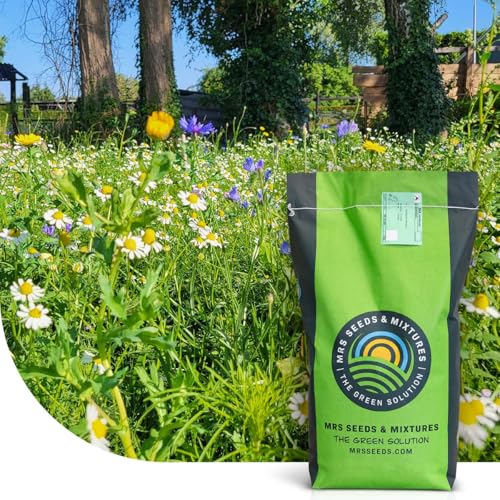 Flower Field: Grassamen mit Wildblumensamen | 2 Kilo - 400 m² | 80% Gras, 20% Wildblumen | Mehrjährige Blumenwiese Saatgut für u.a. Bienen, Hummeln und Schmetterlinge | MRS Seeds Flower Field: Grassamen mit Wildblumensamen | 2 Kilo - 400 m² | 80% Gras, 20% Wildblumen | Mehrjährige Blumenwiese Saatgut für u.a. Bienen, Hummeln und Schmetterlinge | MRS Seeds von MRS Seeds & Mixtures