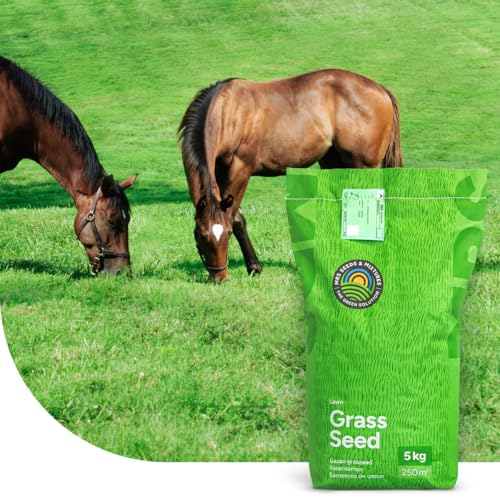 Grassamen Pferdeweide - Elite Mix | 1 kg - 100m2 | Universalmischung für Pferdeweiden | Hohe Trittfestigkeit | Neuanlage und Nachsaat | Schmackhaft und Zuckerarm | Für alle Böden geeignet | MRS Seeds Grassamen Pferdeweide - Elite Mix | 1 kg - 100m2 | Universalmischung für Pferdeweiden | Hohe Trittfestigkeit | Neuanlage und Nachsaat | Schmackhaft und Zuckerarm | Für alle Böden geeignet | MRS Seeds von MRS Seeds & Mixtures