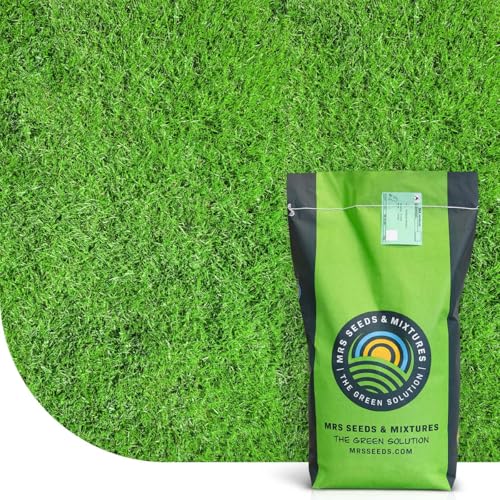 MRS Seeds: Champion Sportrasen | 15 kg - 1.000m2 | Sport- und Spielrasensamen | Extra Robust | Grassamen für Neuansaat und Nachsaat | Schnell wachsender Rasen | Premium Saatgut MRS Seeds: Champion Sportrasen | 15 kg - 1.000m2 | Sport- und Spielrasensamen | Extra Robust | Grassamen für Neuansaat und Nachsaat | Schnell wachsender Rasen | Premium Saatgut von MRS Seeds & Mixtures