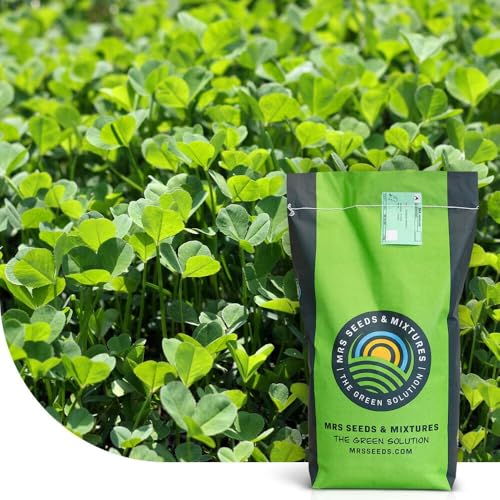 Micro Klee | 1 kg - 300 m² | Trockenheitsbeständigkeit | Für extra dichten, grünen Rasen ohne Moos | langsame und kontinuierliche Freisetzung von Stickstoff | Geringer Wartungsbedarf Micro Klee | 1 kg - 300 m² | Trockenheitsbeständigkeit | Für extra dichten, grünen Rasen ohne Moos | langsame und kontinuierliche Freisetzung von Stickstoff | Geringer Wartungsbedarf von MRS Seeds & Mixtures