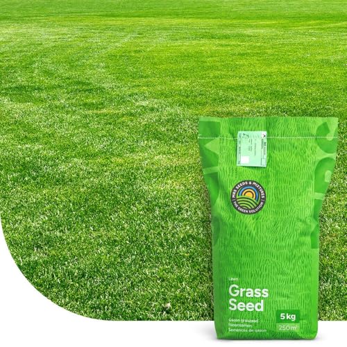 Rasen Nachsaat: Fast Repair | 1KG-50m2 | Schnellkeimende Rasensamen | Rasen nachsäen im Frühjahr und Herbst | Turbo Nachsaat | Testergebnis: SEHR GUT | MRS Seeds Rasen Nachsaat: Fast Repair | 1KG-50m2 | Schnellkeimende Rasensamen | Rasen nachsäen im Frühjahr und Herbst | Turbo Nachsaat | Testergebnis: SEHR GUT | MRS Seeds von MRS Seeds & Mixtures