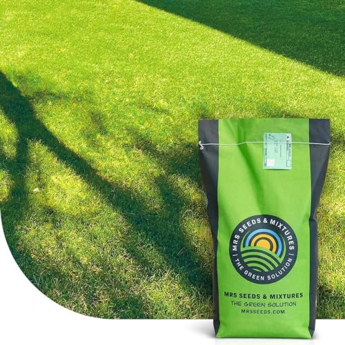 Shade & Sun - Schattenrasen - Zertifiziertes Rasensaatgut | 2kg - 100m2 | Sehr hohe Schattentoleranz | Geeignet für Zier- und Spielrasen | MRS Seeds Shade & Sun - Schattenrasen - Zertifiziertes Rasensaatgut | 2kg - 100m2 | Sehr hohe Schattentoleranz | Geeignet für Zier- und Spielrasen | MRS Seeds von MRS Seeds & Mixtures