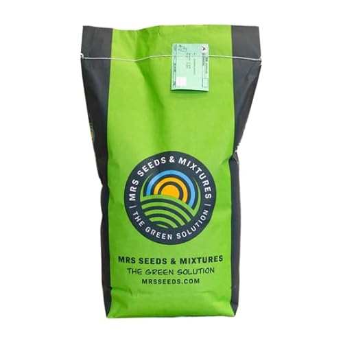 Turbo Green Rasensamen | 2 kg - 100m2 | Nachsaat | Schnellkeimende Grassamen | Premium Qualität Sport- und Spielrasen | Rasen nähen und nachsäen | Repariert kahle Stellen im Rasen | MRS Seeds von MRS Seeds & Mixtures