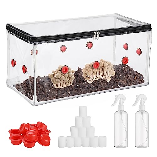 MRSTORY Monotube -Pilzbox, 25 X 15 X 10 cm Pilzanbau Kit Aufblasbar und mit 10 Lufthäfen und Filtern für Frischluftaustausch, Alternative Zum Pilzanbau -Bag -Pilz -Monotube -Kit MRSTORY Monotube -Pilzbox, 25 X 15 X 10 cm Pilzanbau Kit Aufblasbar und mit 10 Lufthäfen und Filtern für Frischluftaustausch, Alternative Zum Pilzanbau -Bag -Pilz -Monotube -Kit von MRSTORY