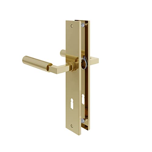 MS Beschläge Messing Optik Langschildgarnitur Mod. Lübeck Türbeschlag Baustil Türdrücker Türklinke Schildgarnitur 245x45mm (Buntbart) von MS Beschläge