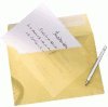 Sam – Box mit 250 weißen Papiertüten 100 g Silikonstreifen 229 x 324 cm C4 Sam – Box mit 250 weißen Papiertüten 100 g Silikonstreifen 229 x 324 cm C4 von SAM