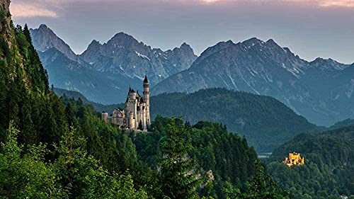 MSDEWLH DIY 5D Diamond Painting Full Bilder Groß Mosaik Geschenk Bayern Neuschwanstein Alpen Deutschland Natur Schlossberg Runder Diamant Haus Dekoration 30X40Cm（11.81X15.74 Zoll） von MSDEWLH