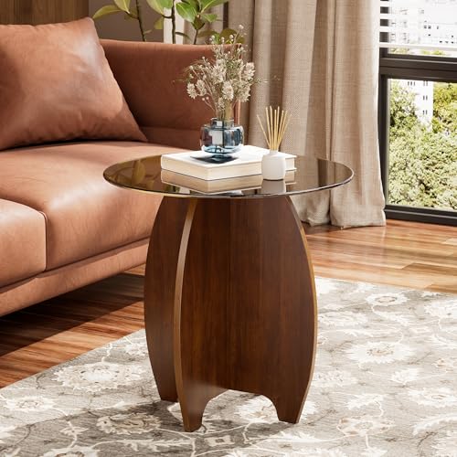 Runder Glas Couchtisch Minimalistischer Wohnzimmertisch mit gehärteter Glasplatte Klein Glastisch Moderner Beistelltisch Salontisch Massivholz Satztischen für Wohnzimmer, Büro, Zuhause Ø 50cm * 50cmH von MSFE
