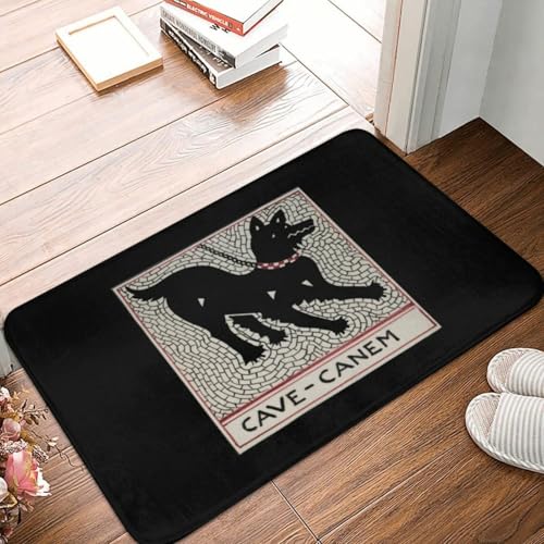 MSHEEFG Cave Canem Fußmatte Teppich Teppichmatte Polyester Anti-Rutsch langlebig Eingang Maschinenwaschbar 40 * 60CM von MSHEEFG
