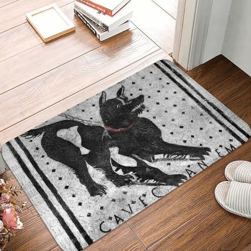 MSHEEFG Cave Canem Polyester Fußmatte Teppich Teppichmatte Anti-Rutsch saugfähige Matte Maschinenwaschbar 40 * 60CM MSHEEFG Cave Canem Polyester Fußmatte Teppich Teppichmatte Anti-Rutsch saugfähige Matte Maschinenwaschbar 40 * 60CM von MSHEEFG