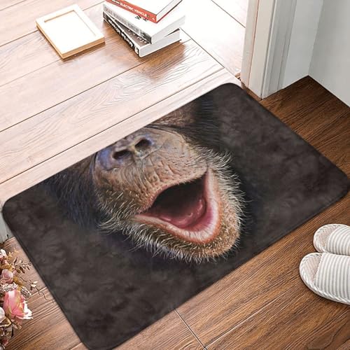 MSHEEFG Chubby Blue Wellensittich Polyester Fußmatte Teppich Teppichmatte rutschfest Waschbar Maschinenwaschbar 40 * 60CM von MSHEEFG