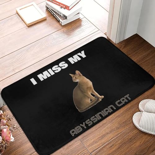 MSHEEFG Ich Vermisse Meine Abgrundis Che Katze Fuß Matte Rutsch Feste Super Saugfähige Badezimmer Fußmatten Home Eingang Teppiche Schlafzimmer Teppich Flur Fuß Polster 40 * 60 cm von MSHEEFG