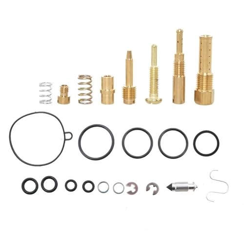 Für 1994-2002 für Suzuki King Quad 300 LTF300F LTF4WDX für Vergaser Carb Rebuild Kit Gartenteile Für 1994-2002 für Suzuki King Quad 300 LTF300F LTF4WDX für Vergaser Carb Rebuild Kit Gartenteile von MSHOZMD