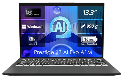 MSI Prestige 13 AI Evo Business Laptop, 33,7 cm (13,3") OLED, Intel Core Ultra 5, 16 GB LPDDR5 RAM, 512 GB SSD, Intel® Arc™ Grafik, Windows 11 Home, QWERTZ Tastatur, Stellar Gray, A1MG-072 von MSI