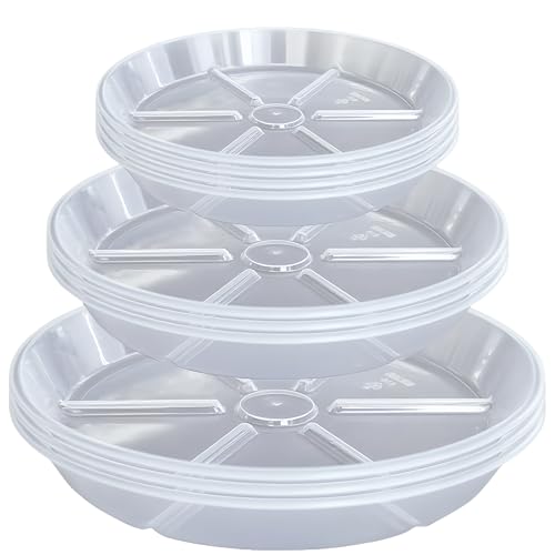 MSKIAUO Untersetzer für Pflanzen, 15,2 cm, 20,3 cm, 25,4 cm, 10 Packungen transparente Blumentöpfe und Abtropfschalen MSKIAUO Untersetzer für Pflanzen, 15,2 cm, 20,3 cm, 25,4 cm, 10 Packungen transparente Blumentöpfe und Abtropfschalen von MSKIAUO