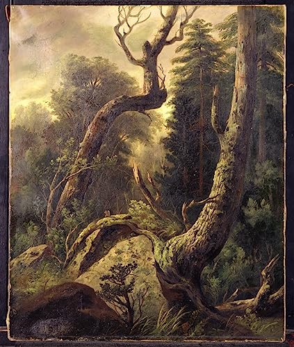 Leinwandbilder Bild Kunst Leinwand Malerei Ölgemälde Waldlandschaft von Asher Brown Durand für Wanddekoration 60x90cm von MSTECO