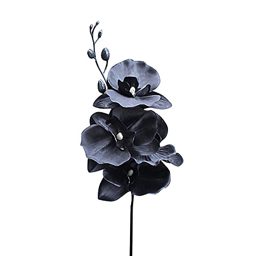 MSUIINT Künstliche schwarze Orchidee mit Stiel, 2 Stück, künstliche Phalaenopsis-Blumen, Seidenpflanzen, fühlt sich echt an, künstliche Phalaenopsis-Zweige für Zuhause, Hochzeitsdekoration von MSUIINT