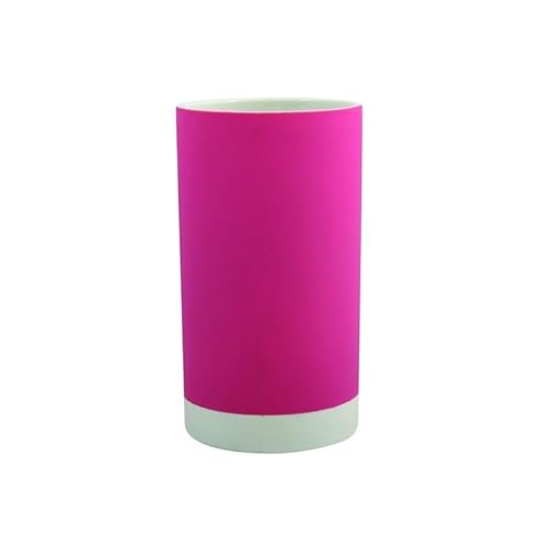 MSV Bad Stecknuss, Fuchsia, 0 von MSV