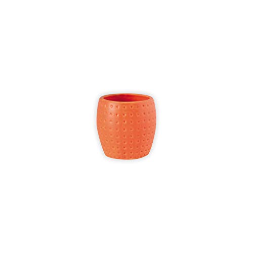 MSV Bad Stecknuss, Orange, 0 von MSV