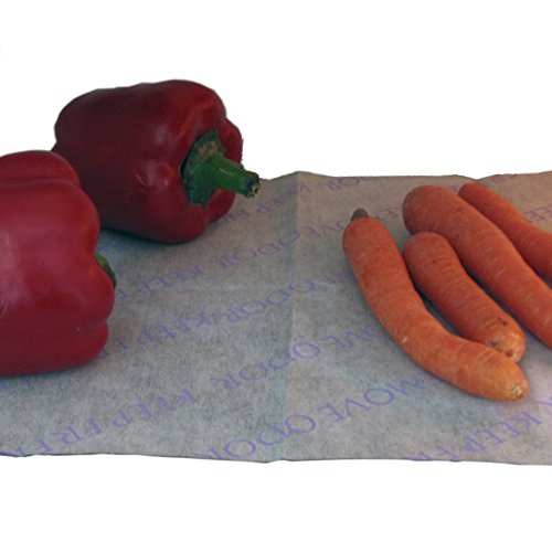 MSV Desodorierungsbasis für Kühlschränke mit Aktivkohle MSV Desodorierungsbasis für Kühlschränke mit Aktivkohle von MSV