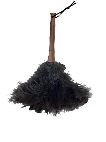 MSV Staubwedel Bambusgriff Feder Staubwischer Strauss Natur Straußenfedern 43 cm Bambus, Brown, 65 cm von MSV
