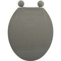 MSV - wc -Sitz, oben gefärbt mit Plastikscharnieren . von MSV