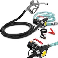 MSW - Dieselpumpe selbstsaugend Heizölpumpe Ölpumpe Ölabsaugpumpe 12 v 40 l/min von MSW