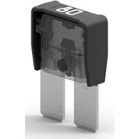 MTA Automotive M8COMPACT 80A 06.10080 Maxi Flachsicherung 80A Schwarz MTA Automotive M8COMPACT 80A 06.10080 Maxi Flachsicherung 80A Schwarz von MTA Automotive