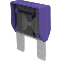 MTA Automotive MAXIVAL 100A Violet 06.00970 Maxi Flachsicherung 100A Violett MTA Automotive MAXIVAL 100A Violet 06.00970 Maxi Flachsicherung 100A Violett von MTA Automotive