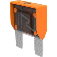 MTA Automotive MAXIVAL 40A Orange 06.00920 Maxi Flachsicherung 40A Orange MTA Automotive MAXIVAL 40A Orange 06.00920 Maxi Flachsicherung 40A Orange von MTA Automotive