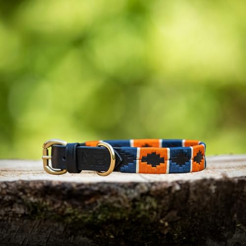 Lederne Hundehalsband Im Polo-Stil – Handgefertigt Aus Premiumleder – Robuste Schnalle – In 5 Größen & Mehreren Farben – MTB Equestrian (Orange/Blau, M) von MTB Equestrian