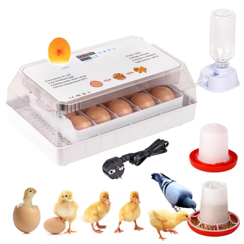 MUALROUS 15 Eier Inkubator für Bruteier Geflügel Brutmaschine mit Automatischen Ei Drehen und Wasser Hinzufügen Temperaturregelung 360 Grad Ansicht Automatische Brutmaschine von MUALROUS