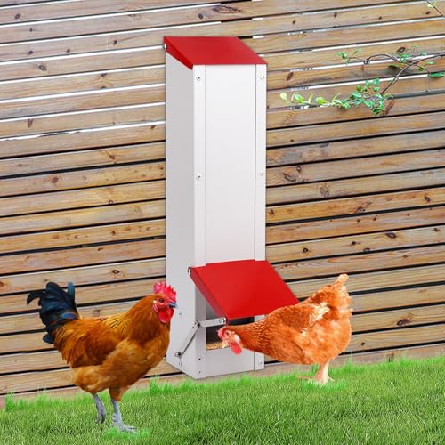 MUALROUS 3Kg Futterautomat Hühner Edelstahl Hühnerfutterspender Kein Abfall Automatischer Geflügelfutterspender mit Deckel Wetterfest Wandhalterung Trog Hühnerstall Futterspender MUALROUS 3Kg Futterautomat Hühner Edelstahl Hühnerfutterspender Kein Abfall Automatischer Geflügelfutterspender mit Deckel Wetterfest Wandhalterung Trog Hühnerstall Futterspender von MUALROUS