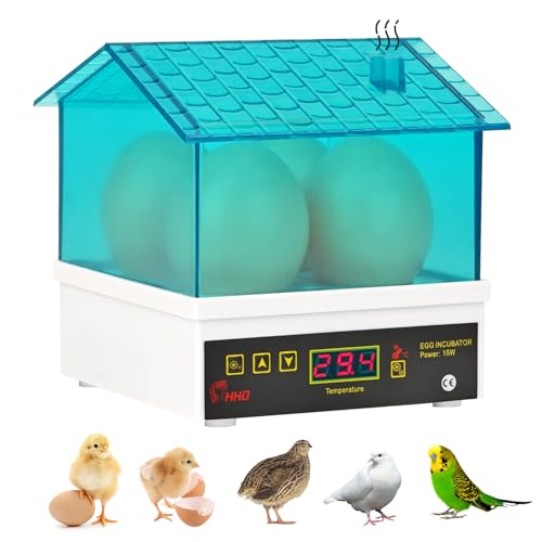 MUALROUS 4 Eier Inkubator für Bruteier Geflügel Brutmaschine mit Automatischen Ei Drehen und Wasser Hinzufügen Temperaturregelung 360 Grad Ansicht Automatische Brutmaschine (4) von MUALROUS