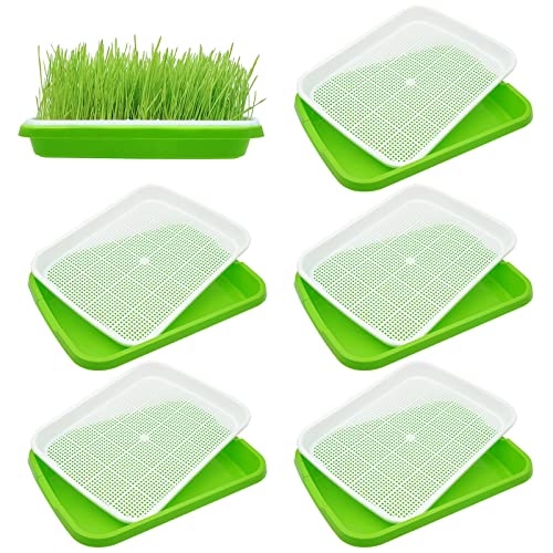 MUALROUS Samensprießschalen 6-Pack Microgreens Growing Trays BPA Free Nursery Tray Samen Keimung Tray Weizengras Katze Gras Seedling Pflanzung Lagerschalen für Garten Home Office von MUALROUS