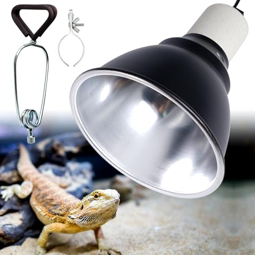 MUALROUS Reptil Wärmelampenfassung Lampenschirm mit Clip für UVA/UVB Lampe, 5,5 Zoll Reptil Heizung Wächter E27 Keramik Lampenfassung für Schildkröte Eidechse Schildkröte Schlange Spinne Küken MUALROUS Reptil Wärmelampenfassung Lampenschirm mit Clip für UVA/UVB Lampe, 5,5 Zoll Reptil Heizung Wächter E27 Keramik Lampenfassung für Schildkröte Eidechse Schildkröte Schlange Spinne Küken von MUALROUS