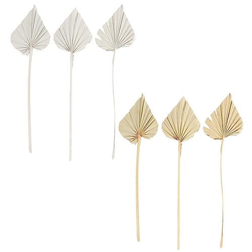 MUCKLILY 6 Stück Getrocknete Palmblatt Dekoration Pflegeleichtes Wandornament aus Natürlichem Palmblatt für Hochzeitsfeiern Blumenarrangements und Innenräume für Selbstgemacht Projekte MUCKLILY 6 Stück Getrocknete Palmblatt Dekoration Pflegeleichtes Wandornament aus Natürlichem Palmblatt für Hochzeitsfeiern Blumenarrangements und Innenräume für Selbstgemacht Projekte von MUCKLILY