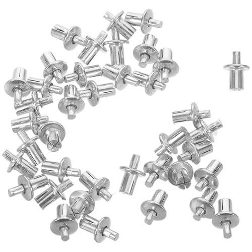 MUCKLILY 200 Stück Aluminium Schlagkern-niet mit Halbrundem Kopf Schnelles Expansionsbefestigungssystem Geeignet für Möbel Fahrzeug Industrieanwendungen von MUCKLILY