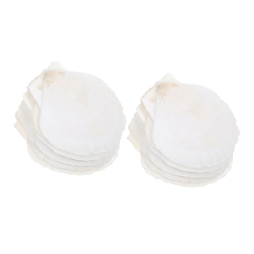 MUCKLILY 40 Stück Jakobsmuschelschalendekoration DIY-Schale Muscheln basteln kleine Muscheln zum Basteln Aquarium Shell Landschaftsbau Muschel schmücken Hülse Weiß MUCKLILY 40 Stück Jakobsmuschelschalendekoration DIY-Schale Muscheln basteln kleine Muscheln zum Basteln Aquarium Shell Landschaftsbau Muschel schmücken Hülse Weiß von MUCKLILY