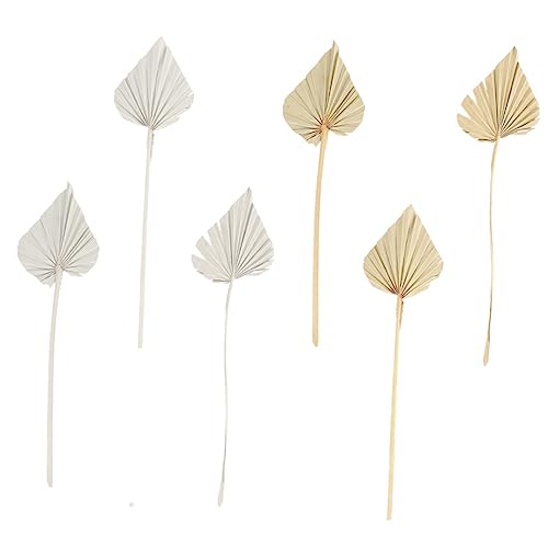 MUCKLILY 5 Sätze Teiliges Getrocknete Palmblätter Dekoration Für Hochzeiten Partys Und Wohnräume Natürliches Aussehen Für Valentinstag Und Weihnachtsfeiern 6 Stücke * 5 von MUCKLILY