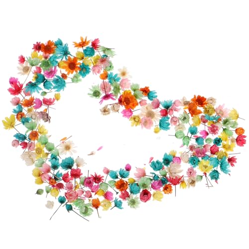 MUCKLILY Selbstgemacht Trockenblumen für Kerzen und Bastelarbeiten Rosa Getrocknete Blumen Langlebig und Dekorativ für Hochzeiten und 1 Beutel MUCKLILY Selbstgemacht Trockenblumen für Kerzen und Bastelarbeiten Rosa Getrocknete Blumen Langlebig und Dekorativ für Hochzeiten und 1 Beutel von MUCKLILY