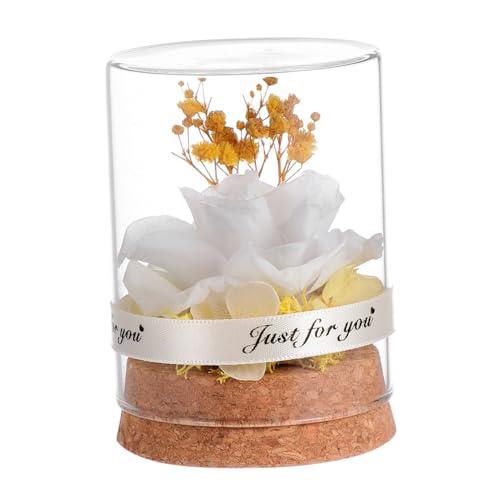 MUCKLILY Ewige Glasdom Geschenkbox Weiß Unvergängliche Blume Romantische Deko Valentinstag Muttertag Jahrestag für Frauen MUCKLILY Ewige Glasdom Geschenkbox Weiß Unvergängliche Blume Romantische Deko Valentinstag Muttertag Jahrestag für Frauen von MUCKLILY