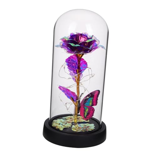 MUCKLILY Glaskuppel mit LED Lichtern Romantisches für Valentinstag Hochzeiten und Jahrestage Kreative mit Bunten und Eleganter Glasabdeckung MUCKLILY Glaskuppel mit LED Lichtern Romantisches für Valentinstag Hochzeiten und Jahrestage Kreative mit Bunten und Eleganter Glasabdeckung von MUCKLILY
