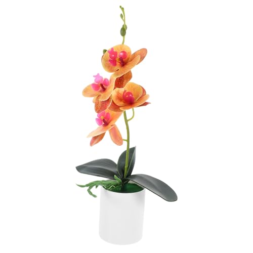 MUCKLILY Künstliche Orchidee im Topf Pflegeleichte Kunstblume Realistische Phalaenopsis für Dekoration Tischpflanze Lichtbeständig und Verformungsfrei MUCKLILY Künstliche Orchidee im Topf Pflegeleichte Kunstblume Realistische Phalaenopsis für Dekoration Tischpflanze Lichtbeständig und Verformungsfrei von MUCKLILY