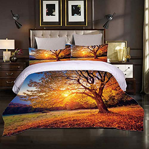 MUCXBE Bettbezug Set 3 Teilig 135x200cm Microfaser Bettwäsche-Set Mit Reißverschluss Goldene Blätter Im Herbst Atmungsaktive Bettbezug Inkl 2 Kopfkissenbezug Für Jugendliche Kinder Schlafzimmer MUCXBE Bettbezug Set 3 Teilig 135x200cm Microfaser Bettwäsche-Set Mit Reißverschluss Goldene Blätter Im Herbst Atmungsaktive Bettbezug Inkl 2 Kopfkissenbezug Für Jugendliche Kinder Schlafzimmer von MUCXBE