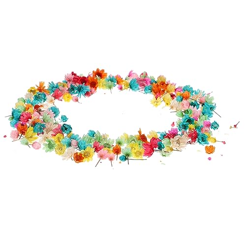 MUELODSIC 1tasche Getrocknete Blumen Für DIY Kunsthandwerk Bunte Natürliche Trockenblumen Für Epoxidharz Scrapbooking Und Dekoration Blütenköpfen Für Kreative Projekte MUELODSIC 1tasche Getrocknete Blumen Für DIY Kunsthandwerk Bunte Natürliche Trockenblumen Für Epoxidharz Scrapbooking Und Dekoration Blütenköpfen Für Kreative Projekte von MUELODSIC
