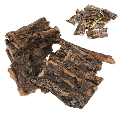 MUELODSIC 10 Stück Teiliges Reptilien Terrarium Baumrinden Natürliche Korkrinde Dekoration Kleine Basking Plattform für Echsen und Schlangen Langlebiges und Sicheres Reptilien Habitat MUELODSIC 10 Stück Teiliges Reptilien Terrarium Baumrinden Natürliche Korkrinde Dekoration Kleine Basking Plattform für Echsen und Schlangen Langlebiges und Sicheres Reptilien Habitat von MUELODSIC